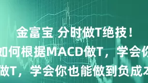 金富宝 分时做T绝技！一招教你如何根据MACD做T，学会你也能做到负成本！