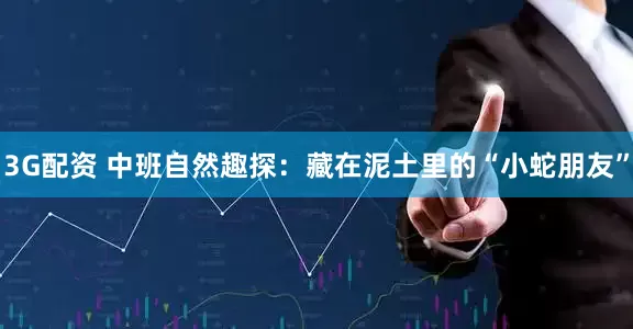 3G配资 中班自然趣探：藏在泥土里的“小蛇朋友”