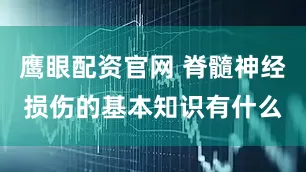 鹰眼配资官网 脊髓神经损伤的基本知识有什么