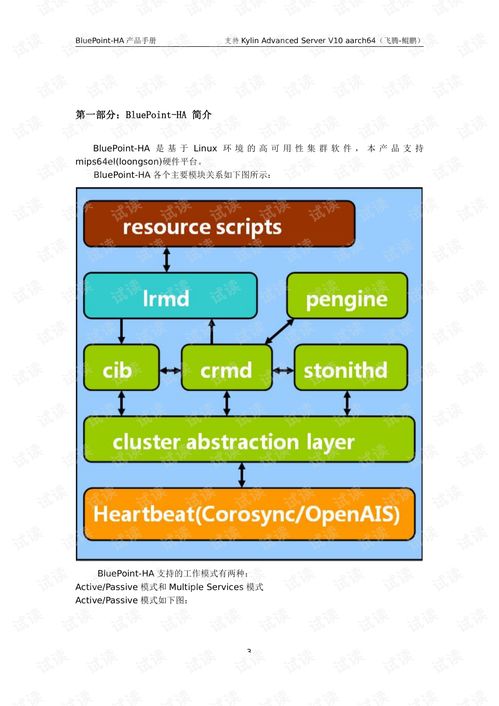 蓝点高可用性集群软件v7.7.1产品手册 麒麟v10飞腾 鲲鹏版本 .pdf